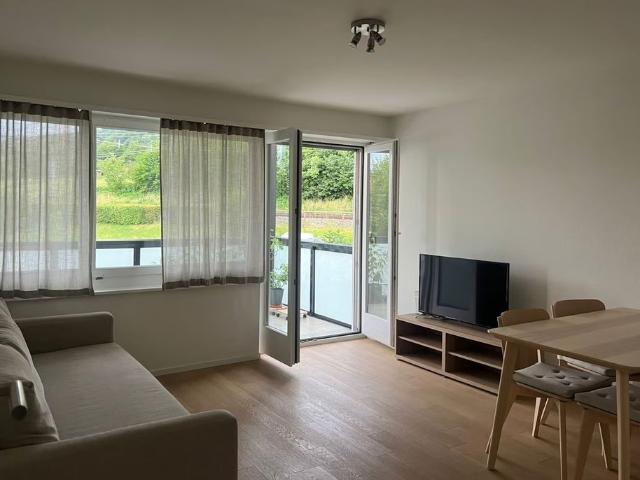 Apartment mieten in Horgen, Zürich