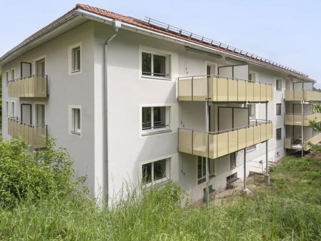 Apartment mieten in Adliswil, Zürich