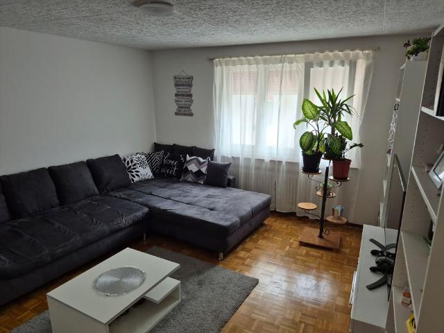 Apartment mieten in Wohlen (AG), Aargau