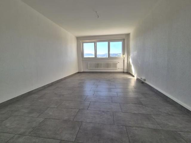 Apartment mieten in La Chaux-de-Fonds