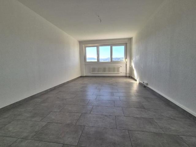Apartment mieten in La Chaux-de-Fonds