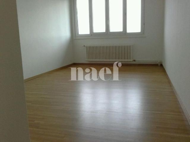Apartment mieten in Petit-Lancy, Lancy