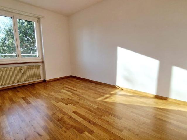 Apartment mieten in Langenthal, Verwaltungsregion Emmental-Oberaargau