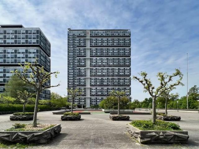 Apartment mieten in Gals, Bern