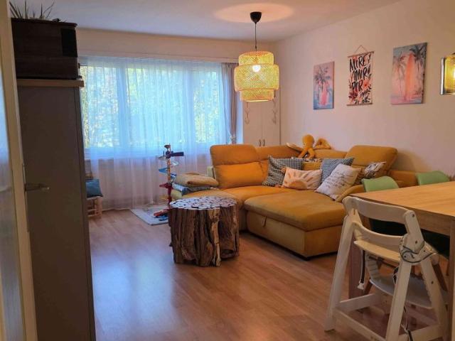 Apartment mieten in Baslerhof, Güttingen