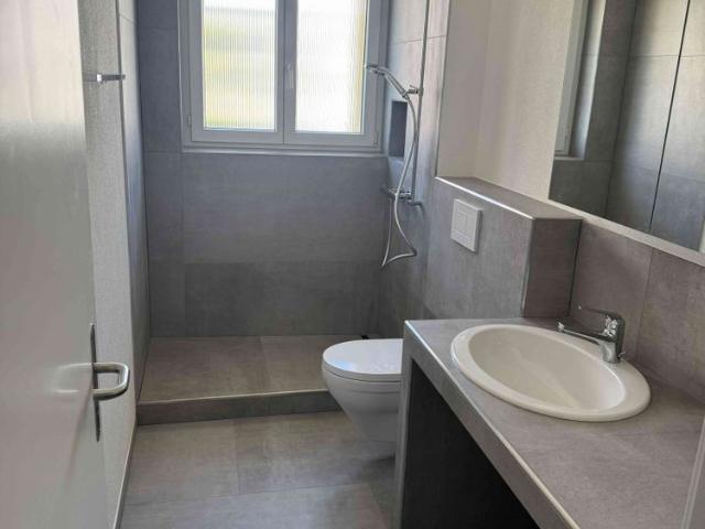 Apartment mieten in Lenzburg, Bezirk Lenzburg