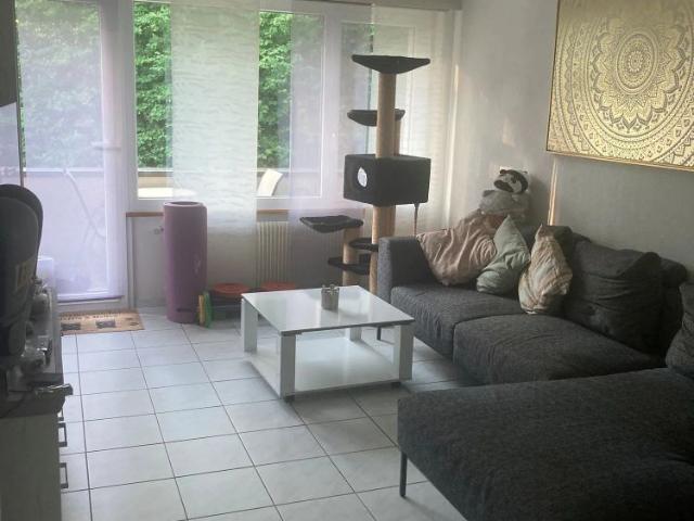 Apartment mieten in Ostermundigen, Bern