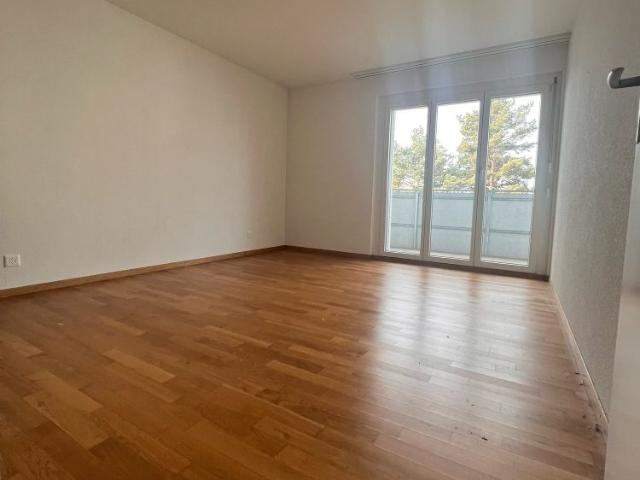 Apartment mieten in Pfäffikon (SZ), Zürich
