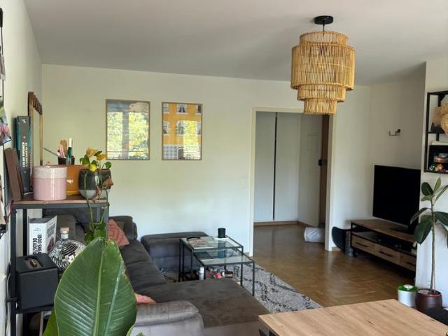 Apartment mieten in Plainpalais, Genève