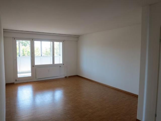 Apartment mieten in Hegnau, Volketswil
