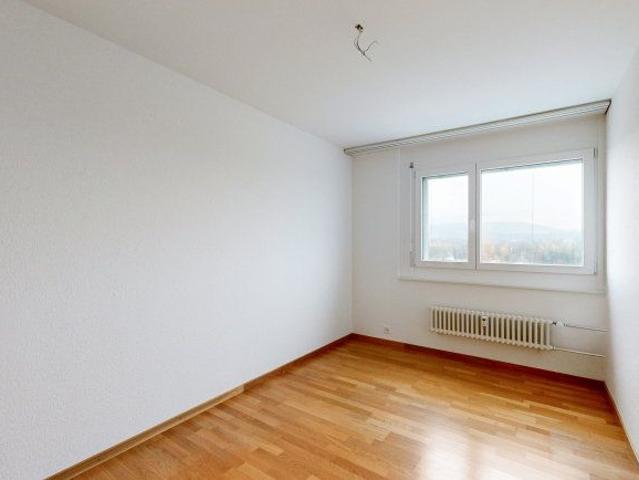 Apartment mieten in Birsfelden, Basel-Landschaft