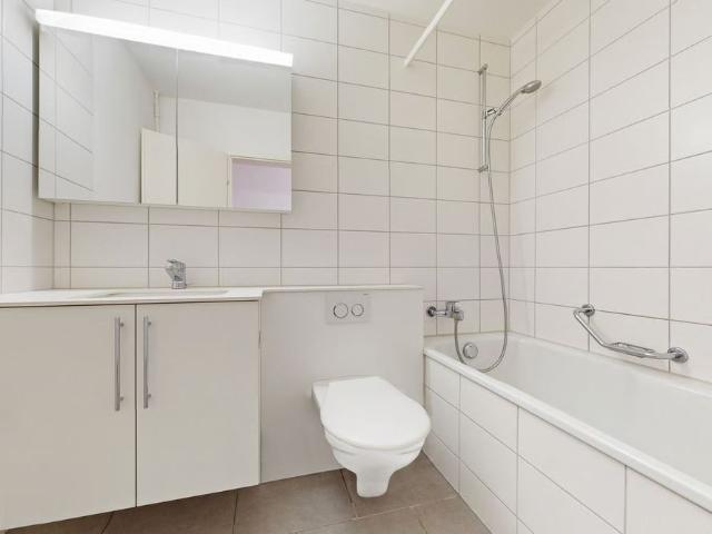 Apartment mieten in Birsfelden, Basel-Landschaft