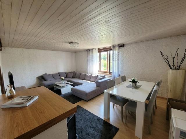 Apartment mieten in Zwingen, Basel-Landschaft