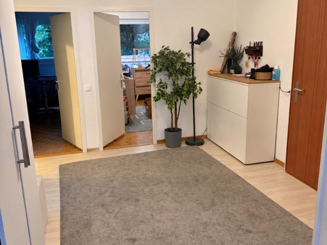 Apartment mieten in Grand-Lancy, Lancy
