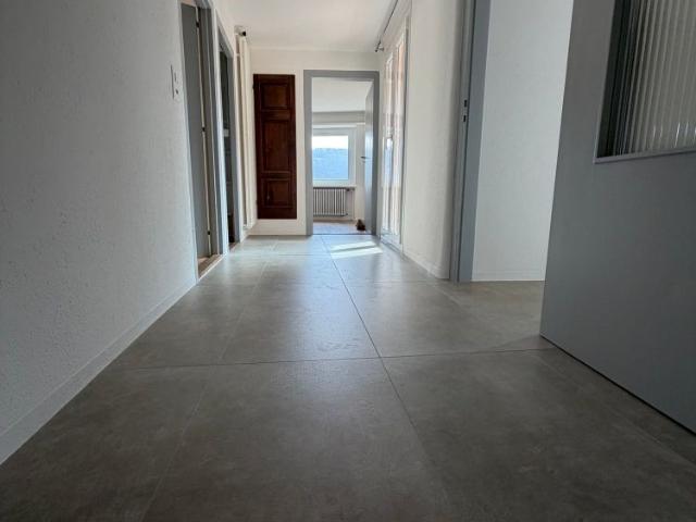 Apartment mieten in Alto Malcantone, Tessin