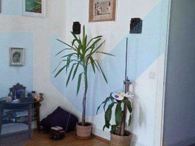 Apartment mieten in Carouge (GE)