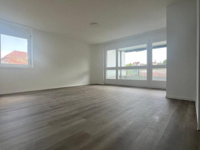 Apartment mieten in Däniken (SO), Solothurn