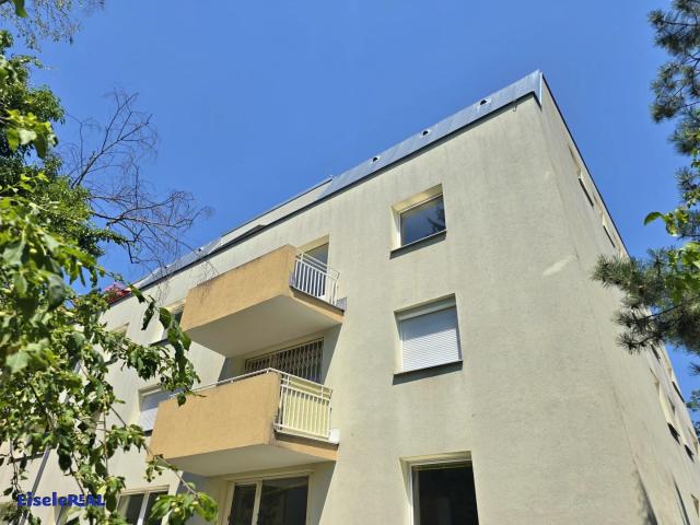 Apartment mieten in KG Auhof, Wien
