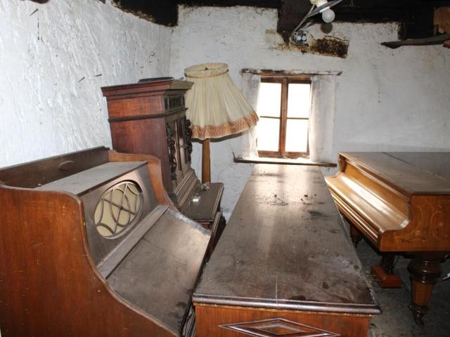 Einfamilienhaus kaufen