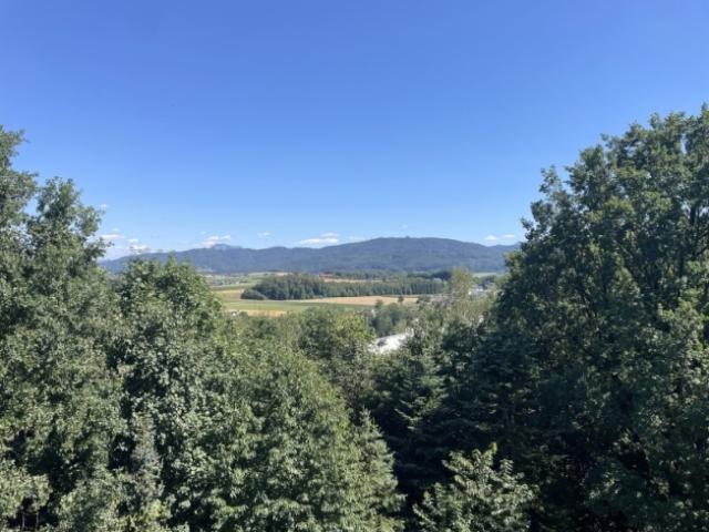 Wohnung kaufen in Oberösterreich