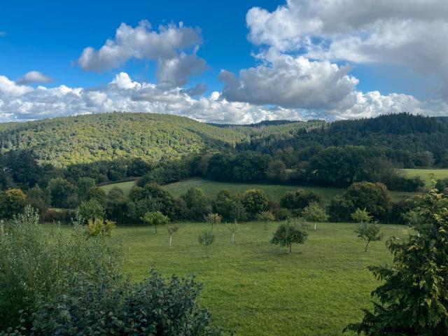 Wohnung kaufen in Bad Schwalbach, Hessen