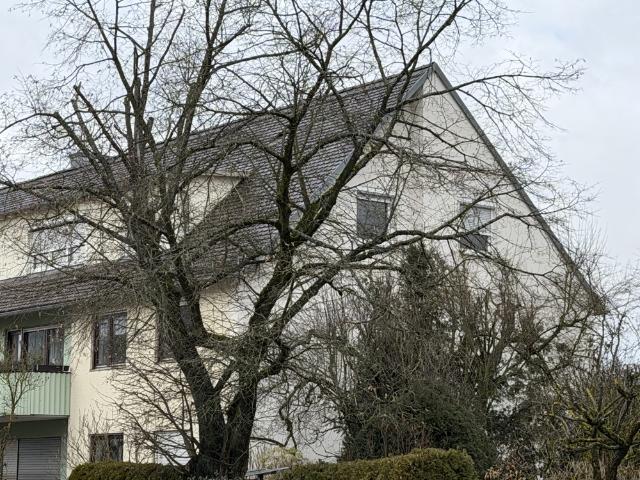 Wohnung kaufen in Regensburg, Bayern