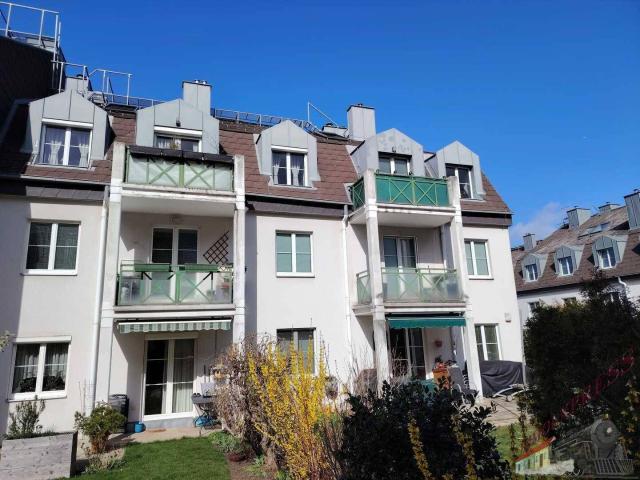 Apartment kaufen in Maria Enzersdorf, Bezirk Mödling