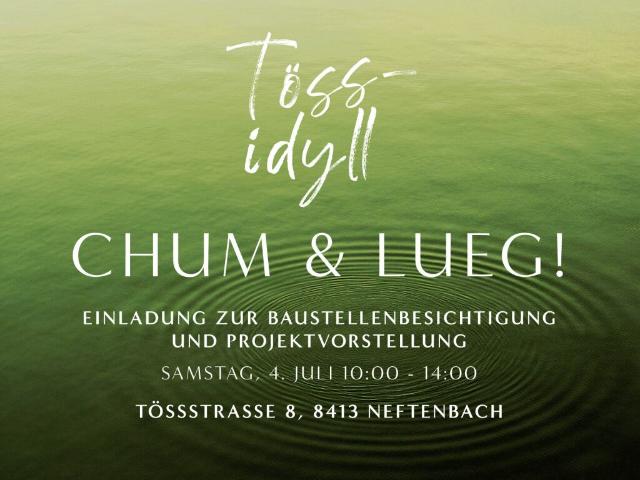 Wohnung kaufen in Neftenbach, Zürich