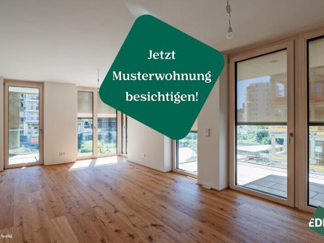 Terrassenwohnung kaufen in Wien