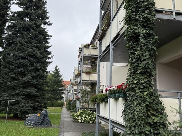 Wohnung kaufen in Tolkewitz, Dresden