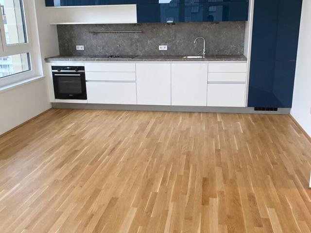 Wohnung mieten in Seestadt, Wien