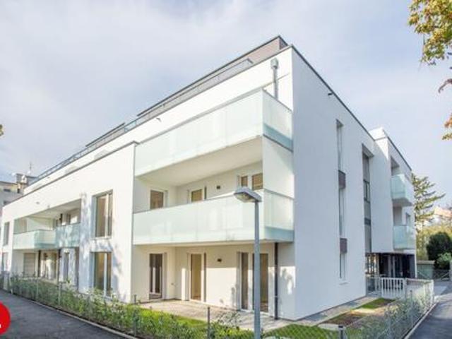 Wohnung mieten in Schwechat, Niederösterreich