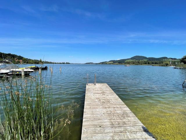Wohnung kaufen in Schörgstätt, Obertrum