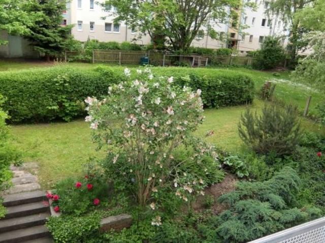 Wohnung mieten in Kapellenberg, Chemnitz