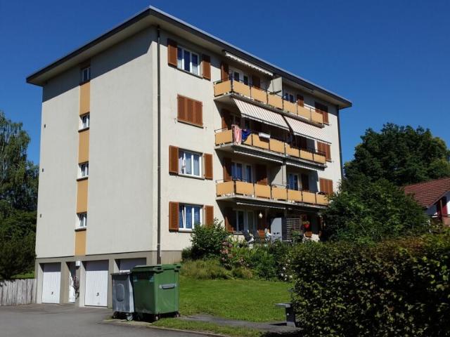 Wohnung mieten in Waltenschwil, Aargau