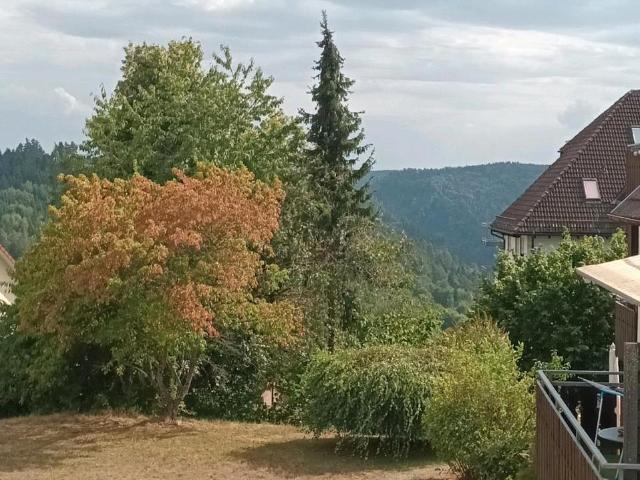 Wohnung kaufen in Liebenzell, Bad Liebenzell