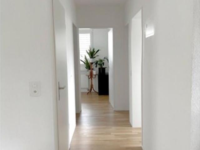 Apartment mieten in Basel, Basel-Stadt