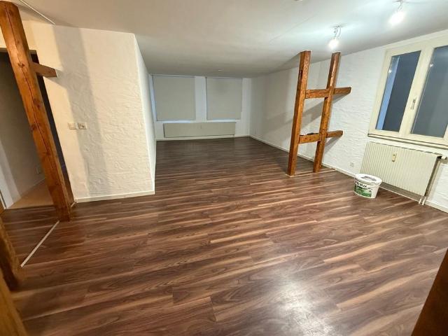 Apartment mieten in Gundeldingen, Binningen