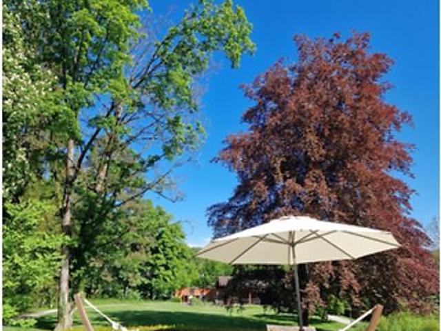 Apartment mieten in Gachnang, Thurgau