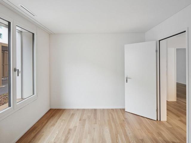 Apartment mieten in Riedikon, Uster