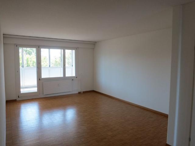 Apartment mieten in Hegnau, Volketswil