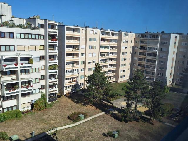 Apartment kaufen in Wiener Neustadt