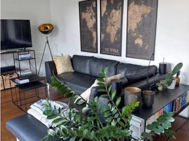 Apartment mieten in Einigen, Zürich