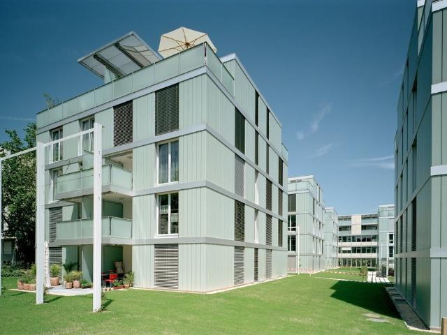Apartment mieten in Einigen, Zürich