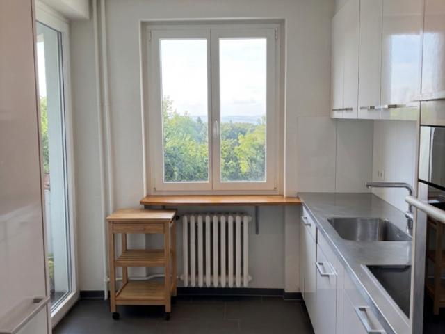 Apartment mieten in Einigen, Zürich