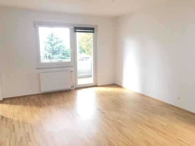 Apartment kaufen in Biedermannsdorf