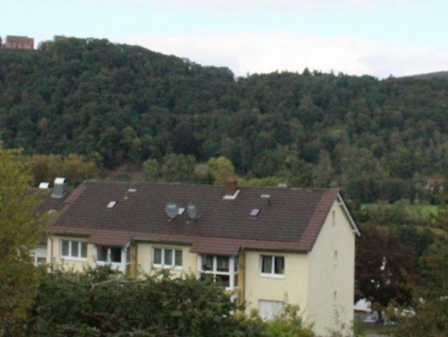Wohnung mieten in Amorbach, Bayern