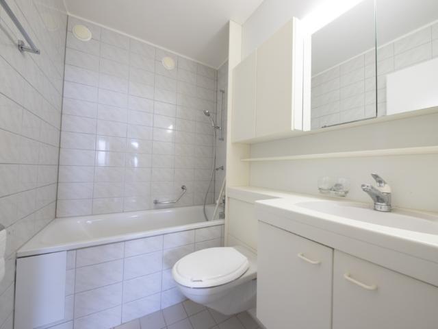 Apartment mieten in Birsfelden, Basel-Landschaft