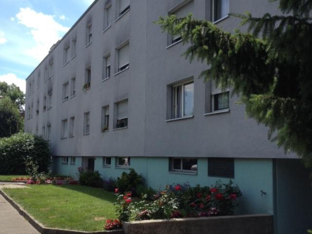 Apartment mieten in Therwil, Bezirk Arlesheim