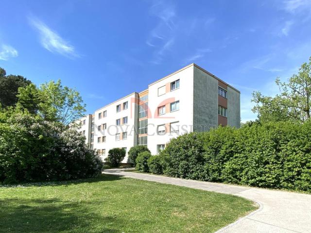 Apartment kaufen in Maria Enzersdorf, Niederösterreich